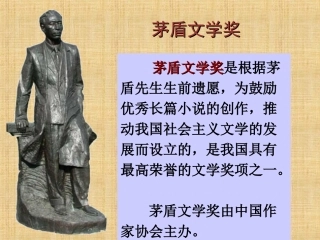 茅盾文学奖获奖情况简介