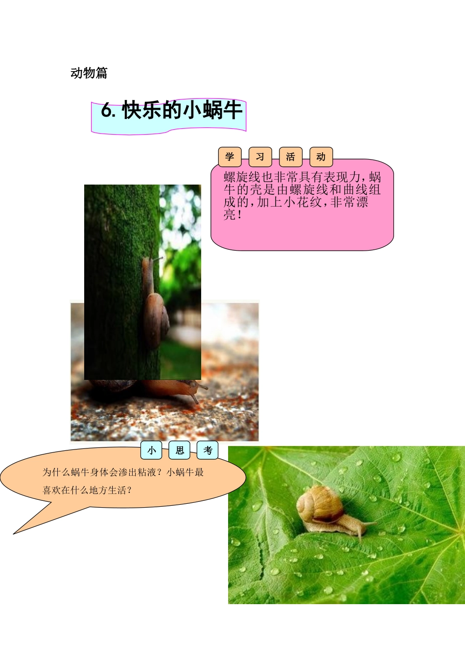 6快乐的小蜗牛_第1页