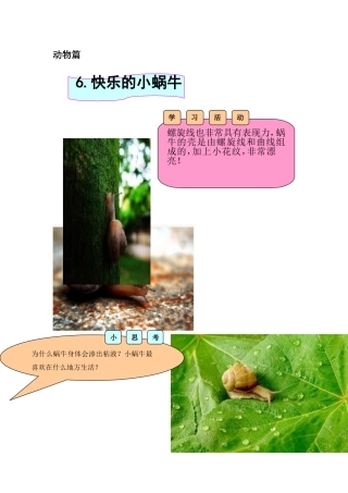 6快乐的小蜗牛