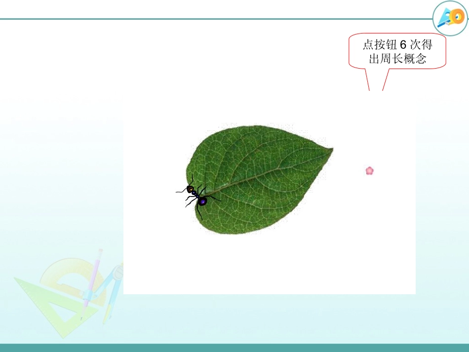 三年级上周长_第2页