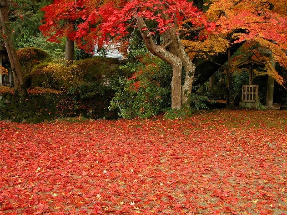 《秋天》 (2)_第2页