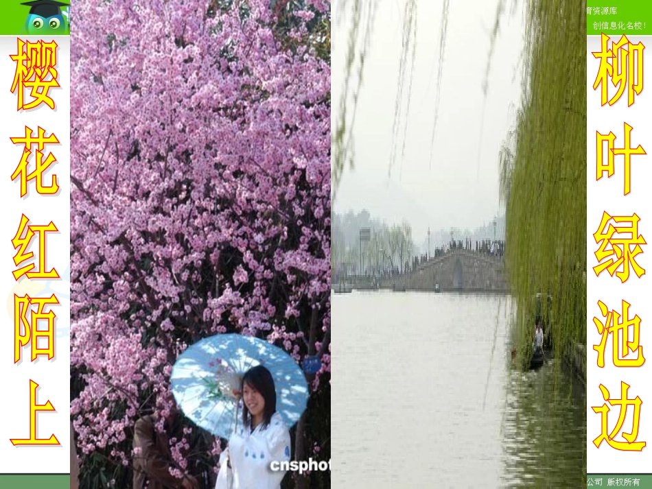 芽的结构和类型_第3页