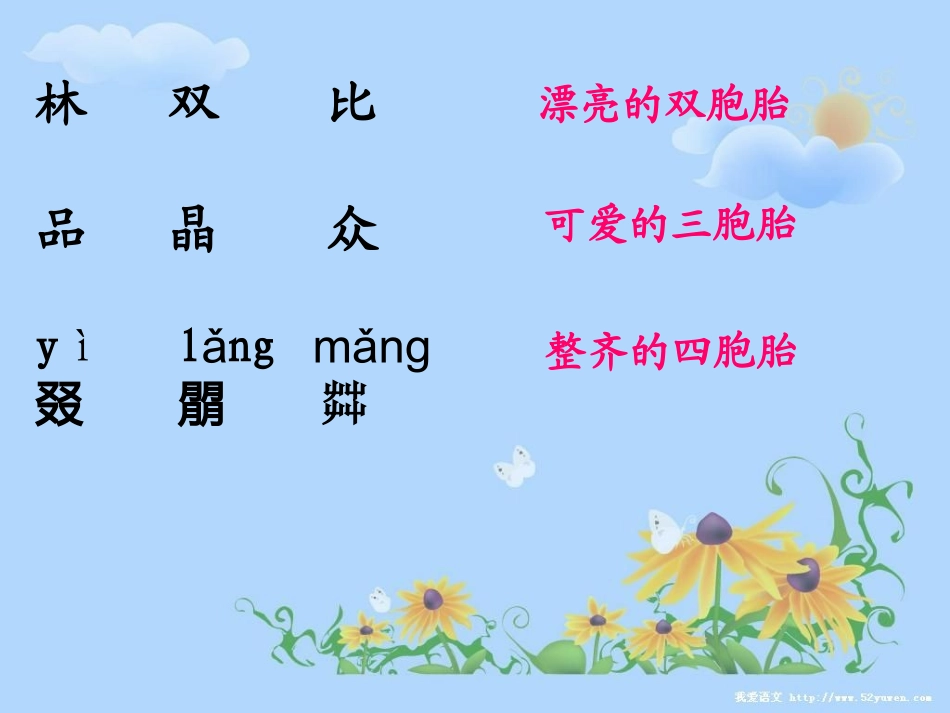 写好双胞胎的字_第2页