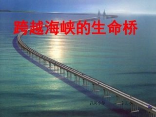跨越海峡的生命桥kejian