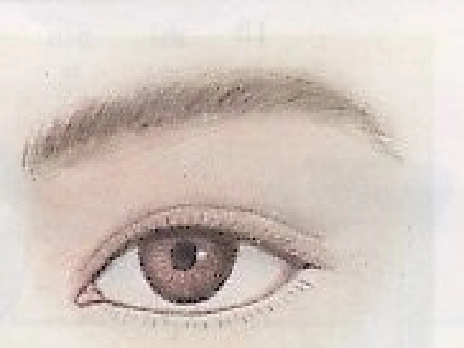 爱护眼睛课件_第1页