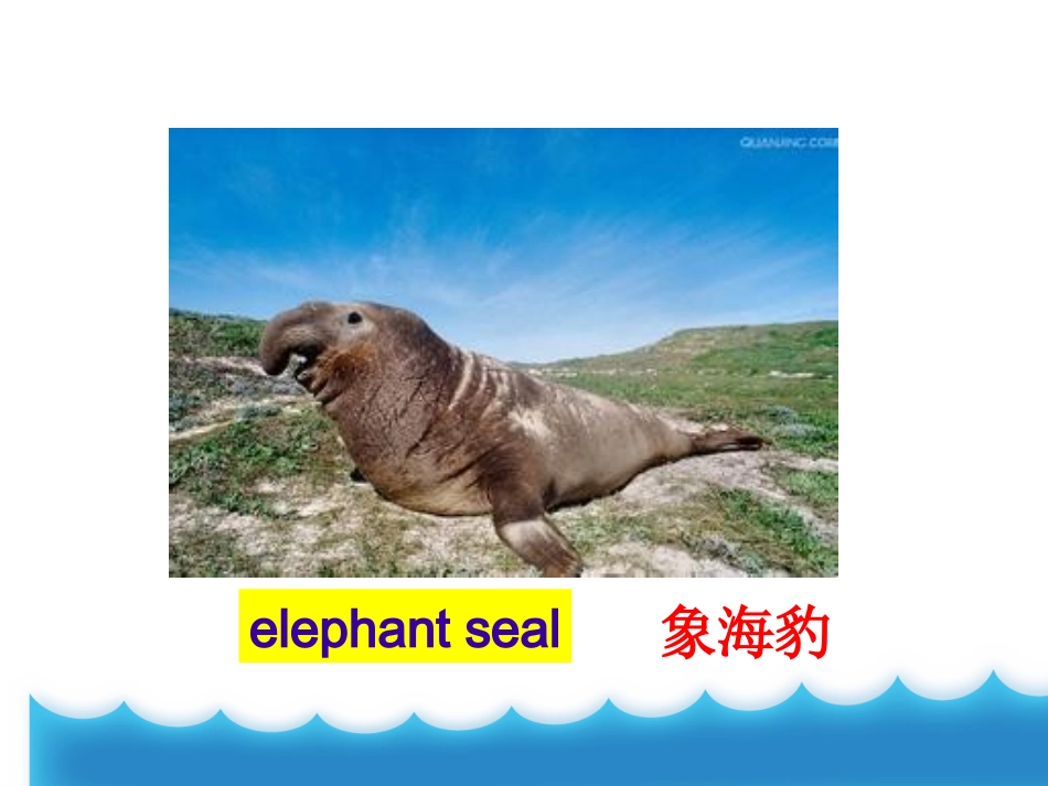 六年级下册U4第二课时(new)_第3页