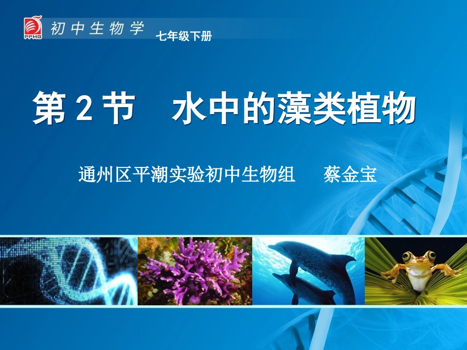 水中的藻类植物_第1页