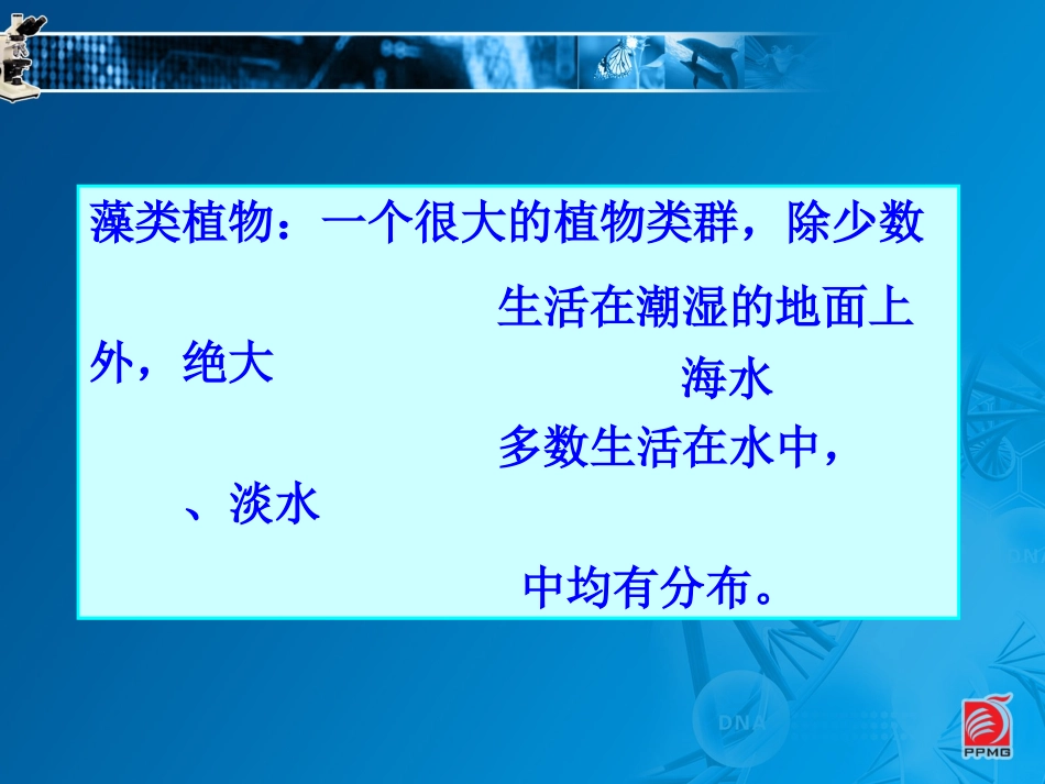 水中的藻类植物_第2页