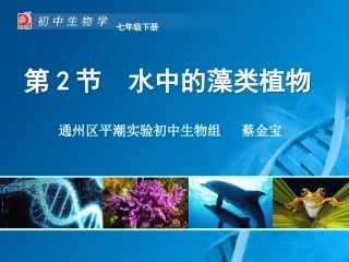 水中的藻类植物