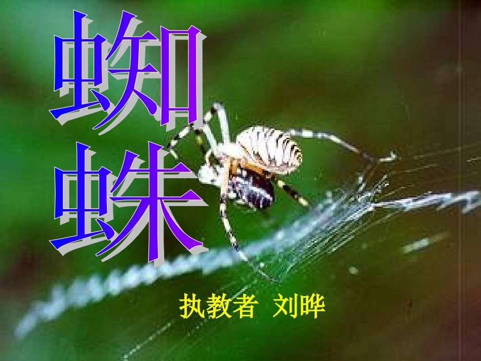 8《蜘蛛》 (2)_第1页