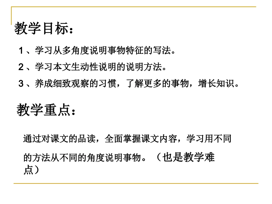 8《蜘蛛》 (2)_第2页