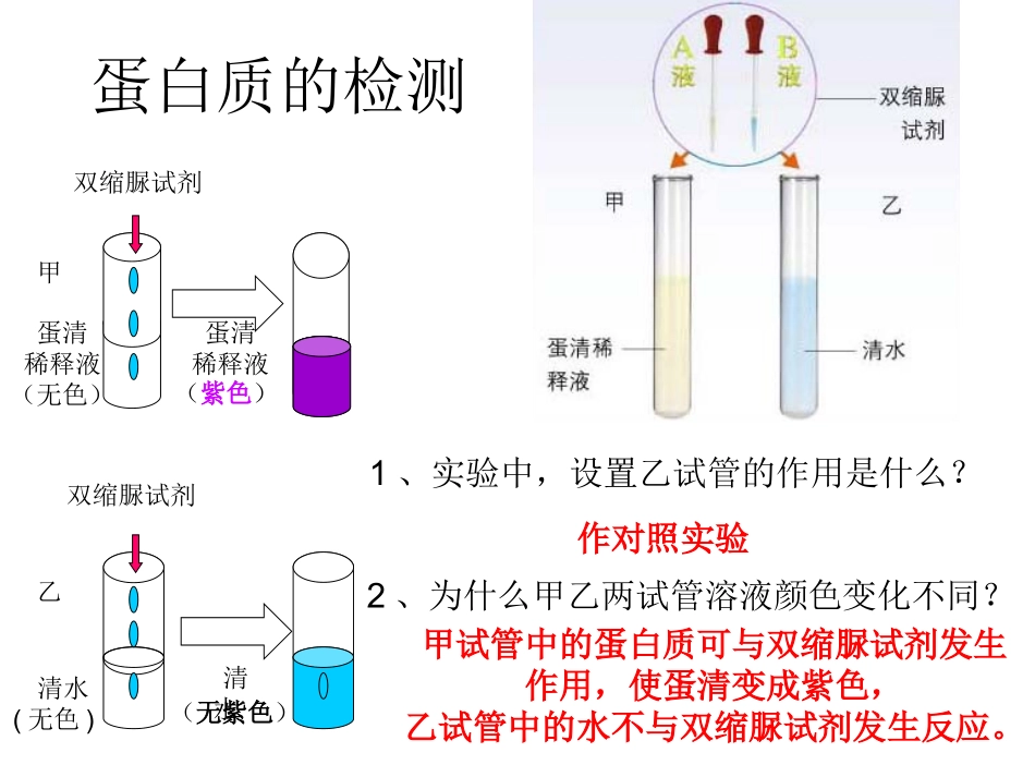 8章1人类的食物1_第3页