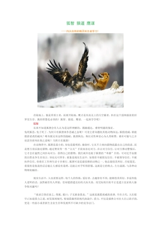 狐智狼道鹰谋