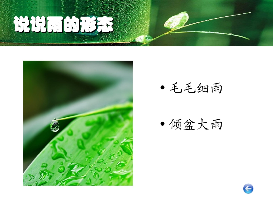 雨的诉说(1)_第3页