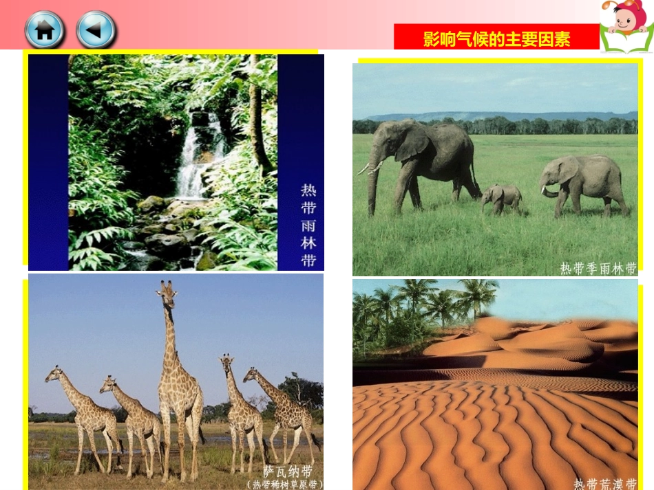 第三节影响气候的主要因素_第3页