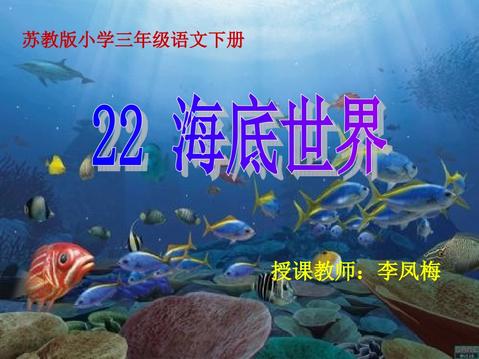 海底世界 (2)_第2页