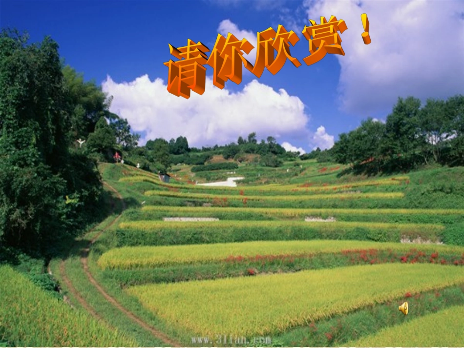 221平行四边形的性质_第3页