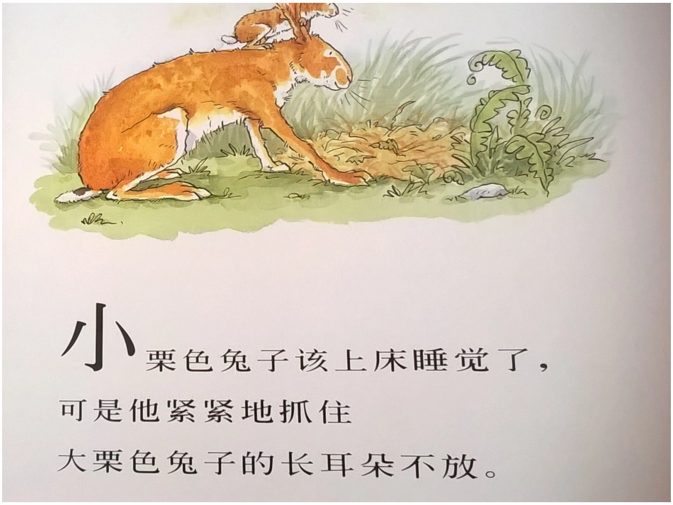 猜猜我有多爱你 (2)_第2页