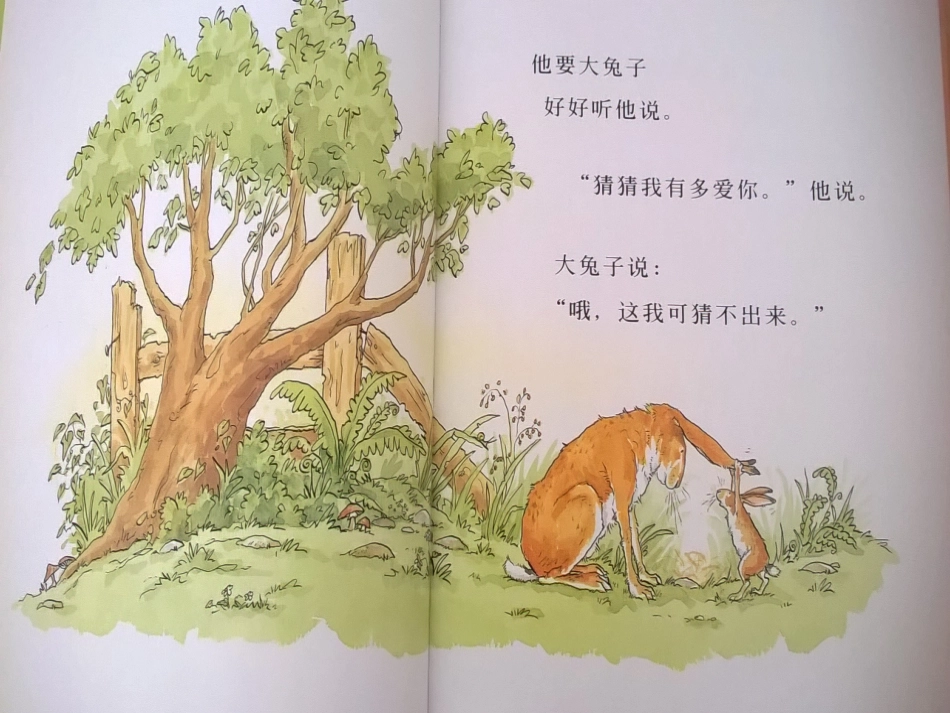 猜猜我有多爱你 (2)_第3页