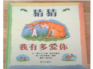 猜猜我有多爱你 (2)