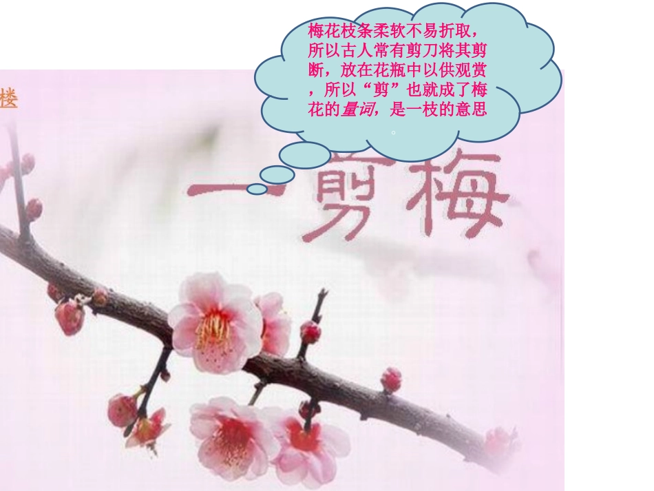 一剪梅课件2_第1页