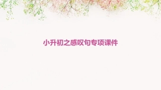 小升初之感叹句专项课件