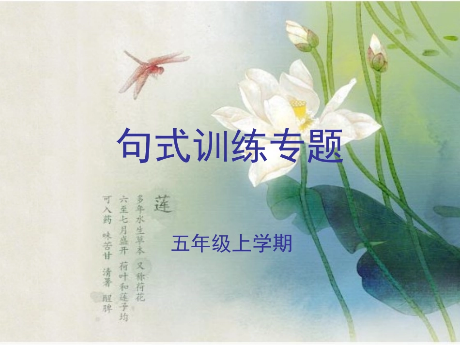 句式训练专题_第1页