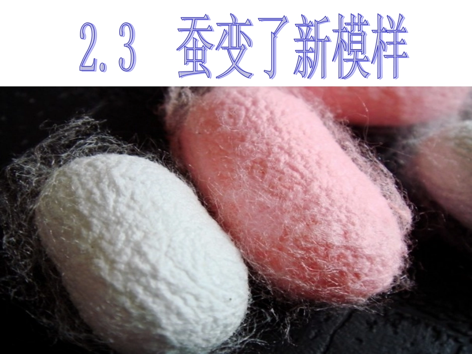 23蚕变了新模样PPT三下_第1页