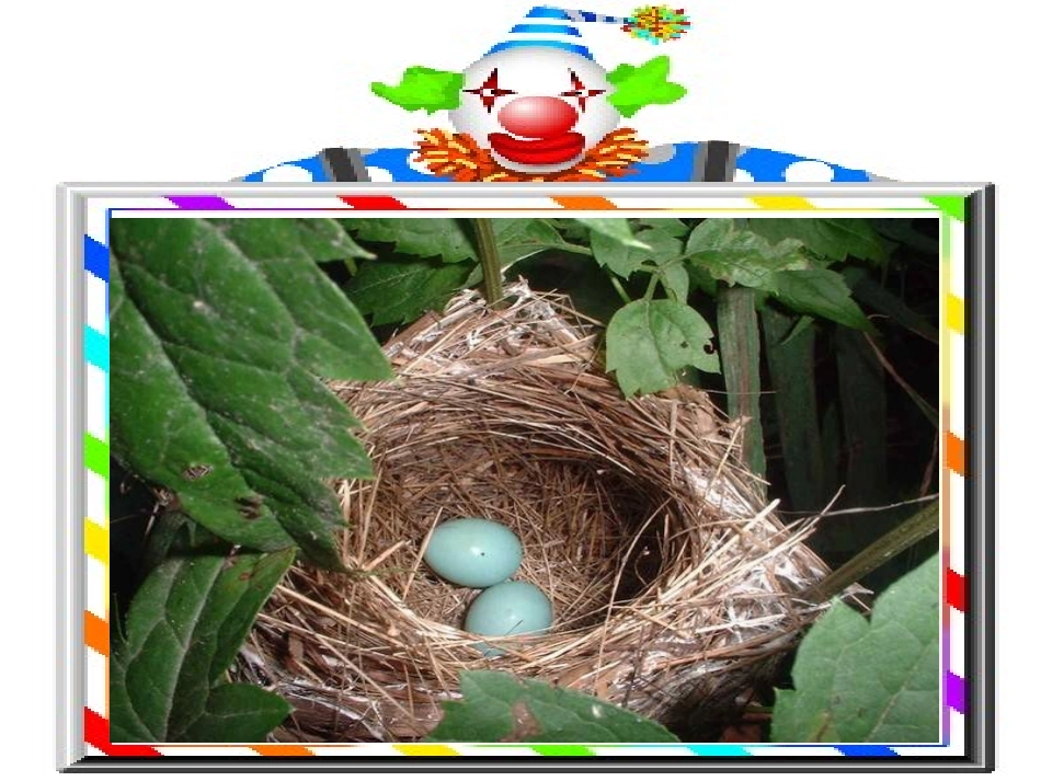 两只鸟蛋 (2)_第2页