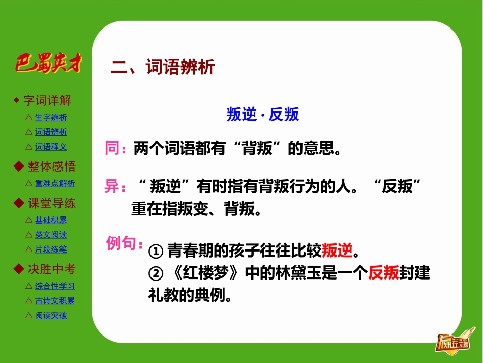 第9课王几何_第3页