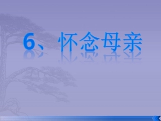 6、怀念母亲