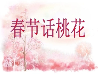 《桃夭》课件