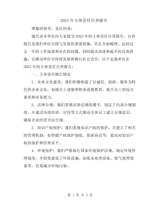 2024年主体责任自查报告