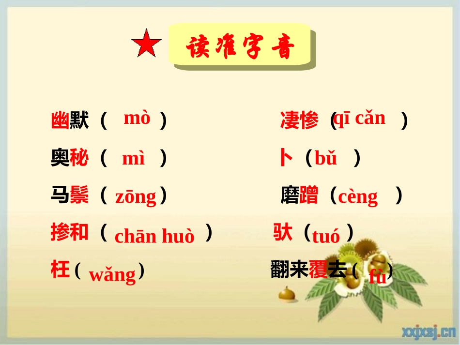 我的第一本书 (5)_第3页