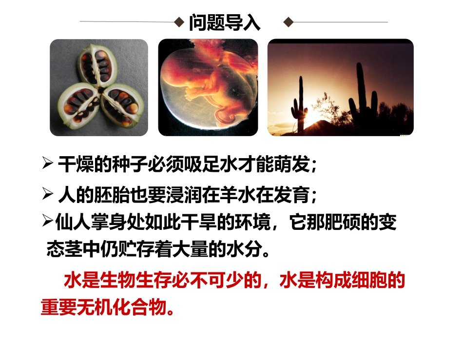 25细胞中的无机物_第2页