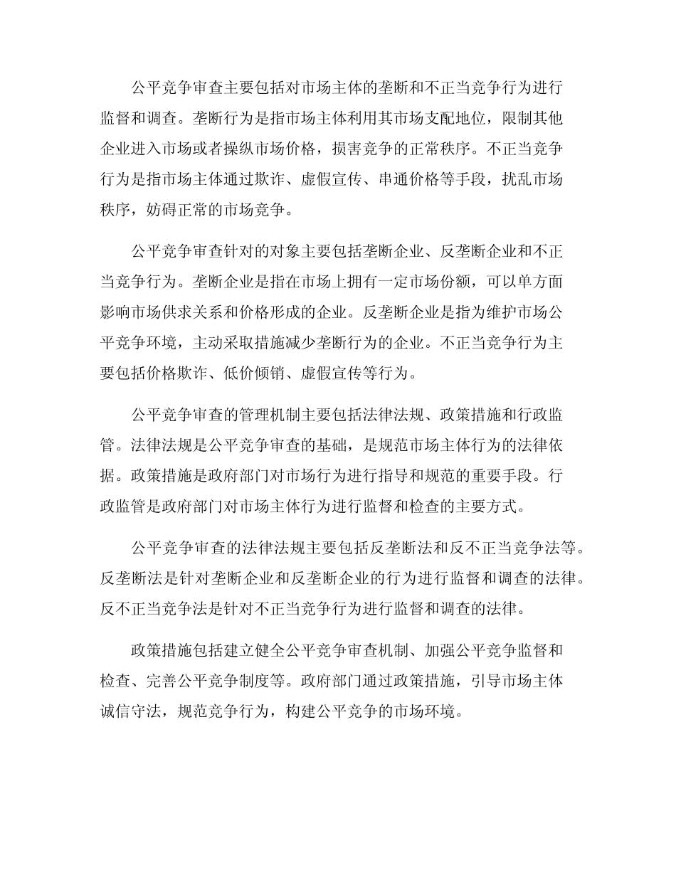 公平竞争审查 报告_第2页