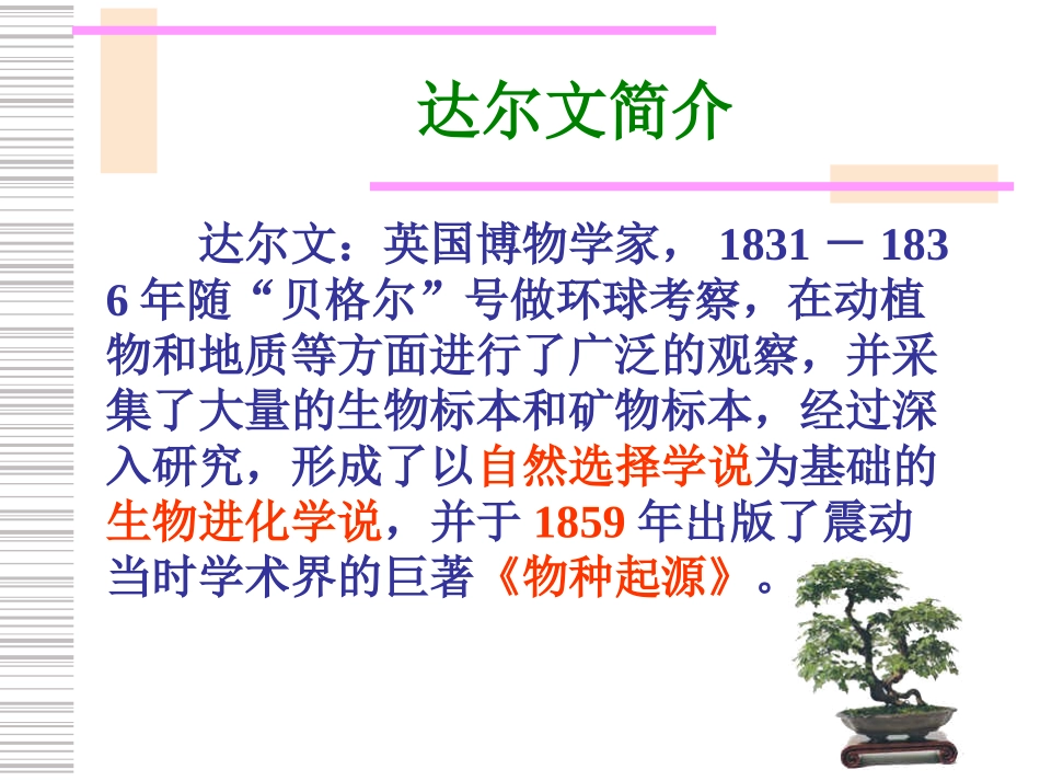 生物的起源(2)_第2页