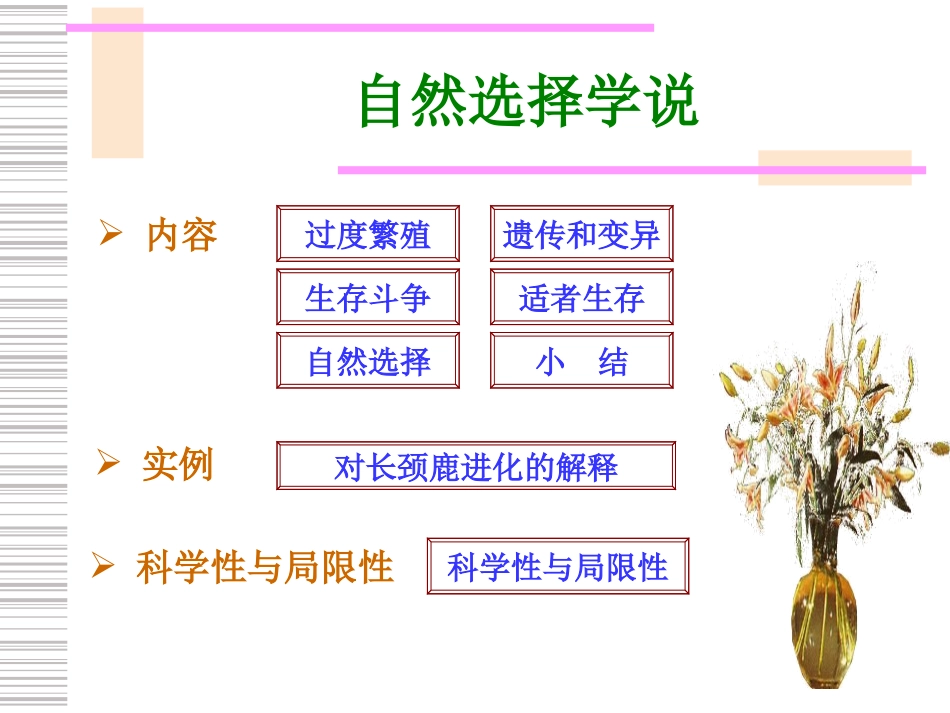 生物的起源(2)_第3页