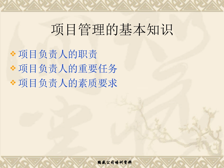 项目管理培训_第2页