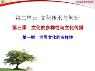 第一框世界文化的多样性