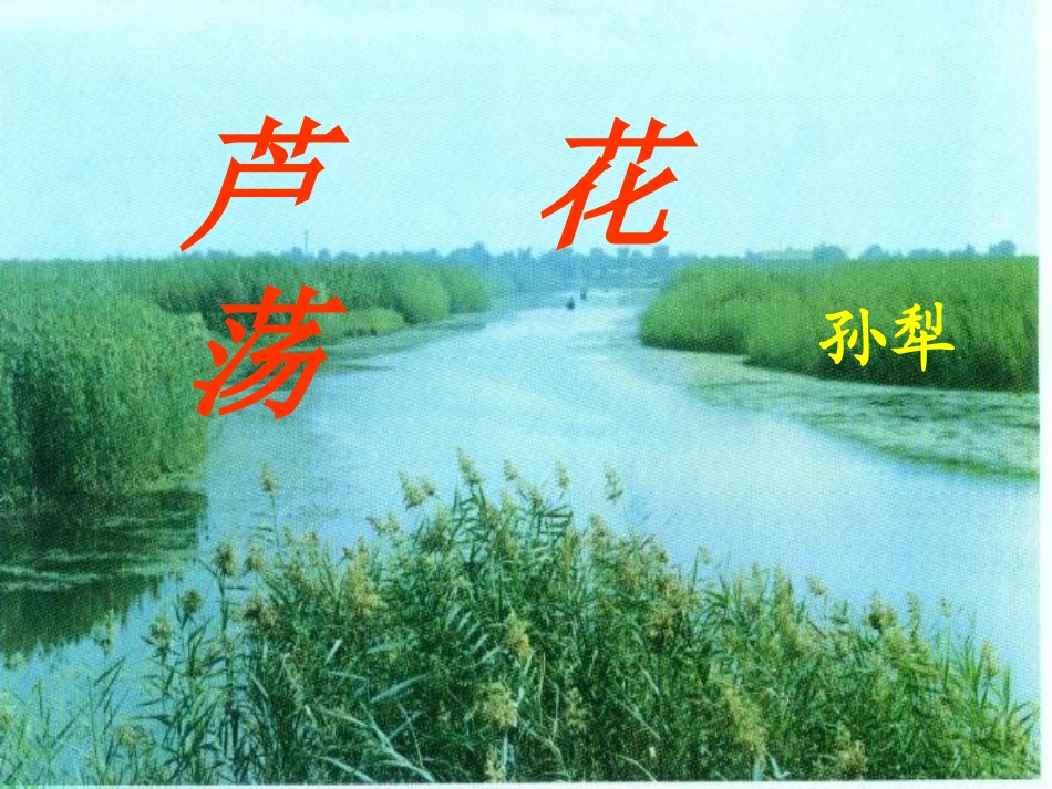 2芦花荡[正]_第1页