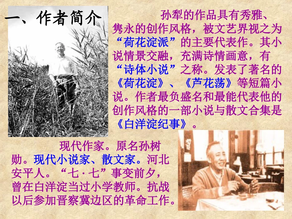 2芦花荡[正]_第2页