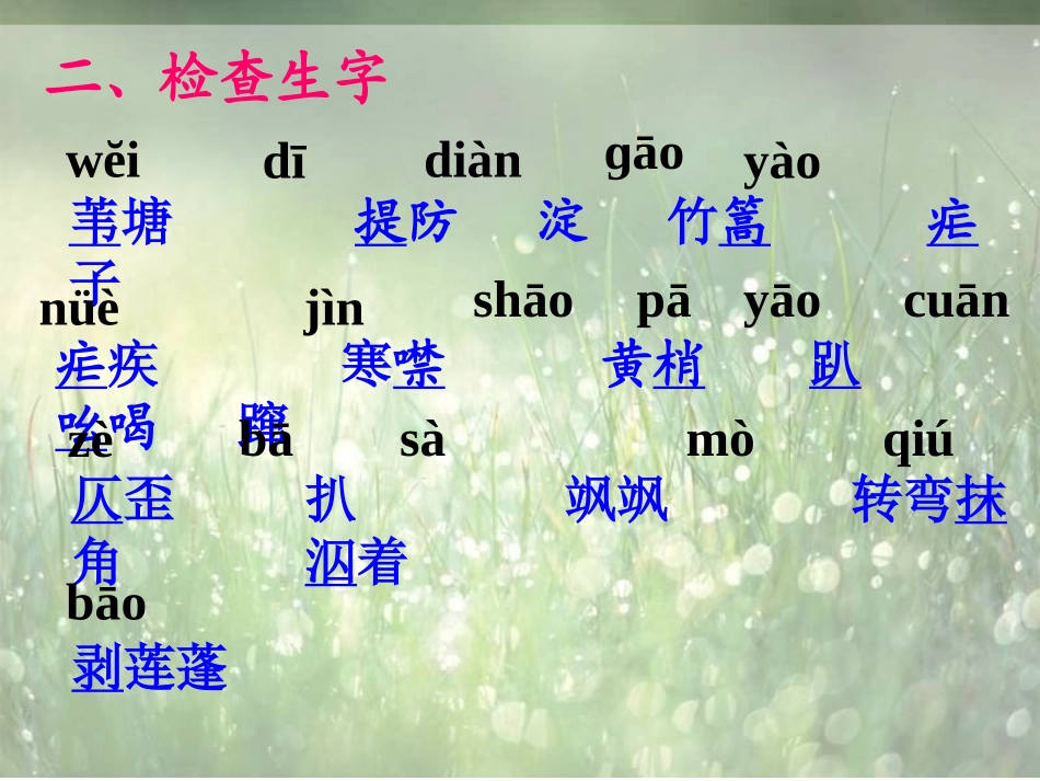 2芦花荡[正]_第3页