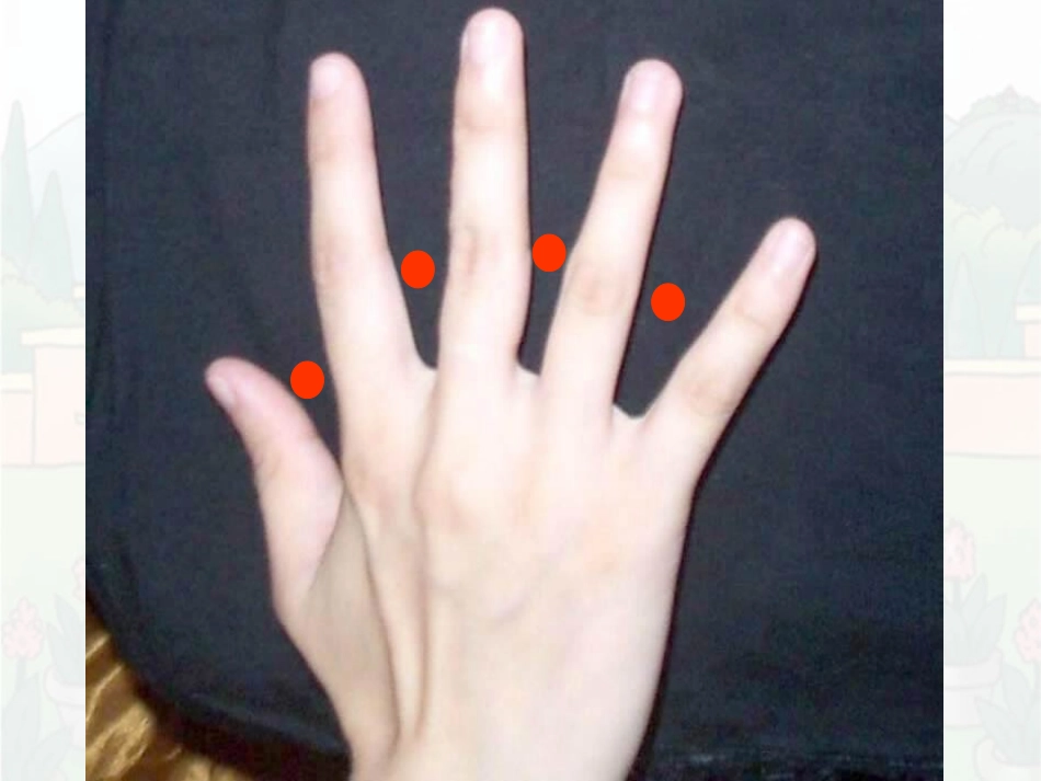 第八单元植树问题 (2)_第2页