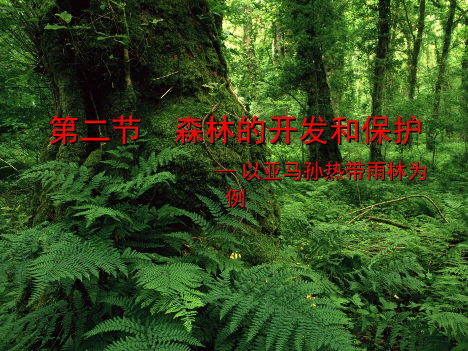 22森林的开发和保护_第1页