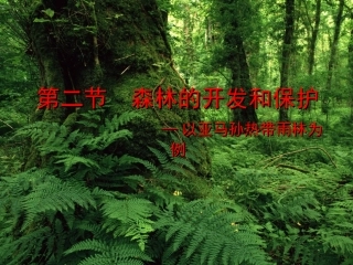 22森林的开发和保护