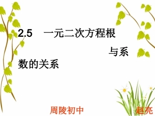 2014版九年级数学（北师大版）上册课件：25一元二次方程根与系数的关系
