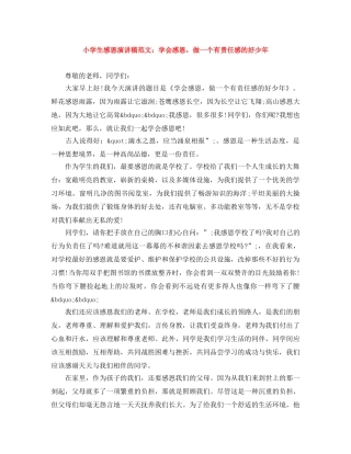 小学生感恩演讲稿范文学会感恩，做一个有责任感的好少年 