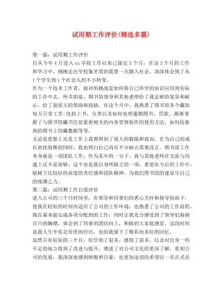 试用期工作评价(精选多篇) 