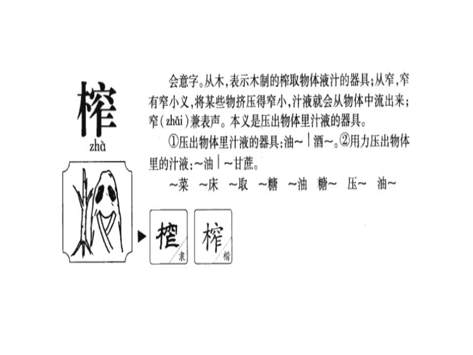 六年级下第4板块1落花生_第1页